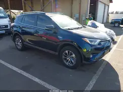 JTMRJREV9HD146768 2017 TOYOTA RAV 4