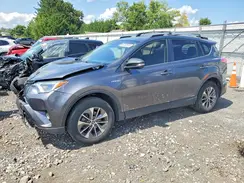 JTMRJREV9HD147466 2017 TOYOTA RAV 4