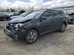 JTMRJREVXGD021972 2016 TOYOTA RAV 4