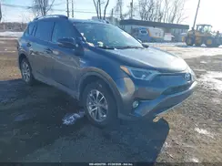 JTMRJREVXGD034365 2016 TOYOTA RAV 4