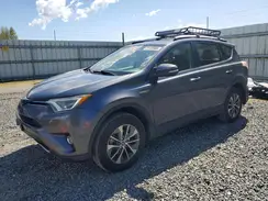 JTMRJREVXGD041753 2016 TOYOTA RAV 4