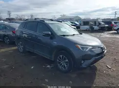 JTMRJREVXHD068307 2017 TOYOTA RAV 4