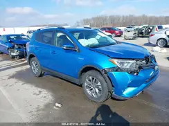 JTMRJREVXHD150196 2017 TOYOTA RAV 4