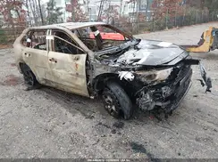 JTMRWRFV0KD026414 2019 TOYOTA RAV 4