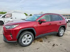 JTMRWRFV0KD511765 2019 TOYOTA RAV 4