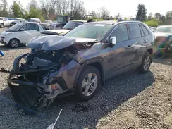 JTMRWRFV0PD191175 2023 TOYOTA RAV 4