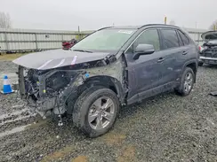 JTMRWRFV0RD216661 2024 TOYOTA RAV 4