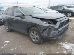 JTMRWRFV0RD230849 2024 TOYOTA RAV 4