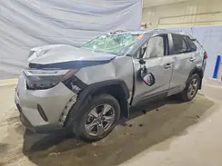 JTMRWRFV0RD241351 2024 TOYOTA RAV 4