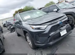 JTMRWRFV0RD242290 2024 TOYOTA RAV 4