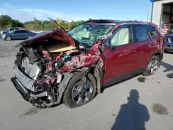 JTMRWRFV0RD249479 2024 TOYOTA RAV 4