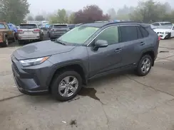 JTMRWRFV0RD257954 2024 TOYOTA RAV 4