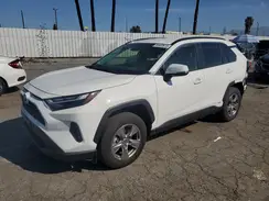 JTMRWRFV0RD270431 2024 TOYOTA RAV 4