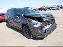 JTMRWRFV0SD304275 2025 TOYOTA RAV 4
