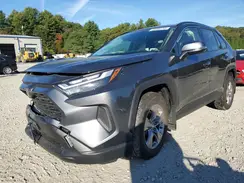 JTMRWRFV0SD304406 2025 TOYOTA RAV 4