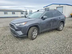 JTMRWRFV0SJ083598 2025 TOYOTA RAV 4