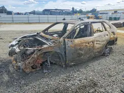 JTMRWRFV0SJ086758 2025 TOYOTA RAV 4
