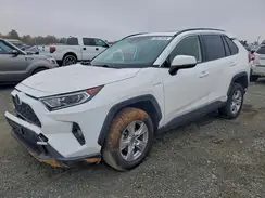 JTMRWRFV1LD068348 2020 TOYOTA RAV 4