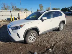 JTMRWRFV1MD125049 2021 TOYOTA RAV 4