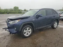 JTMRWRFV1MD126086 2021 TOYOTA RAV 4