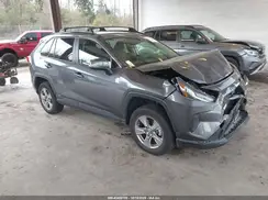 JTMRWRFV1PD202765 2023 TOYOTA RAV 4