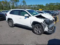 JTMRWRFV1PD205021 2023 TOYOTA RAV 4
