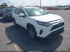 JTMRWRFV1RD215504 2024 TOYOTA RAV 4