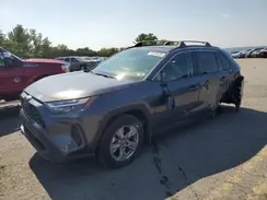 JTMRWRFV1RD237647 2024 TOYOTA RAV 4