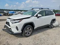 JTMRWRFV1RD246137 2024 TOYOTA RAV 4