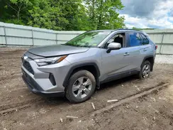 JTMRWRFV1RD247742 2024 TOYOTA RAV 4