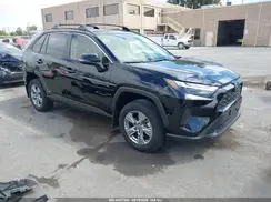 JTMRWRFV1RD254996 2024 TOYOTA RAV 4