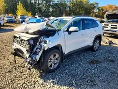 JTMRWRFV1RD268316 2024 TOYOTA RAV 4