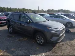 JTMRWRFV1RD272317 2024 TOYOTA RAV 4