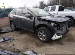 JTMRWRFV1RJ059580 2024 TOYOTA RAV 4