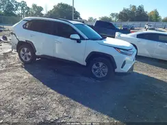 JTMRWRFV1SD337205 2025 TOYOTA RAV 4