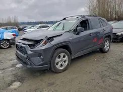 JTMRWRFV2KD009923 2019 TOYOTA RAV 4