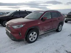 JTMRWRFV2KD035406 2019 TOYOTA RAV 4