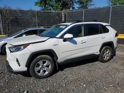 JTMRWRFV2KD036524 2019 TOYOTA RAV 4