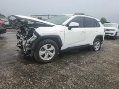 JTMRWRFV2LD061036 2020 TOYOTA RAV 4