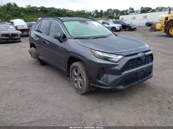 JTMRWRFV2PD200930 2023 TOYOTA RAV 4