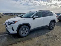 JTMRWRFV2RD213311 2024 TOYOTA RAV 4