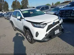 JTMRWRFV2RD232649 2024 TOYOTA RAV 4