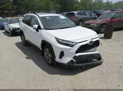 JTMRWRFV2RD243229 2024 TOYOTA RAV 4