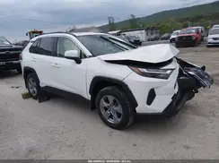 JTMRWRFV2RD245871 2024 TOYOTA RAV 4