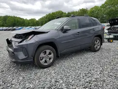 JTMRWRFV2RD267935 2024 TOYOTA RAV 4