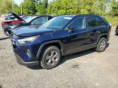 JTMRWRFV2RJ059071 2024 TOYOTA RAV 4