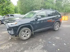 JTMRWRFV2SD313477 2025 TOYOTA RAV 4