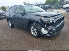 JTMRWRFV3KD020459 2019 TOYOTA RAV 4