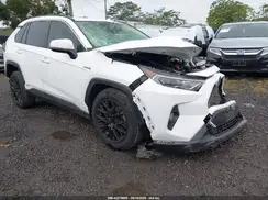 JTMRWRFV3KD031171 2019 TOYOTA RAV 4