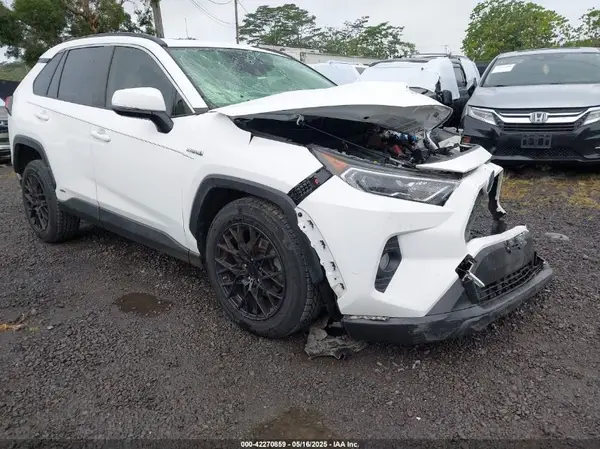 JTMRWRFV3KD031171 2019 TOYOTA RAV 4 - Image 1
